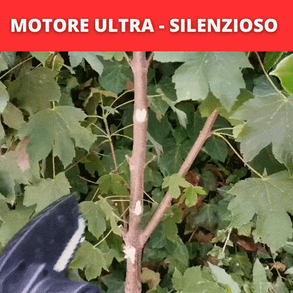 MOTORE-ULTRA-SILENZIOSO-gif-1.gif MOTORE-ULTRA-SILENZIOSO-gif-1.gif